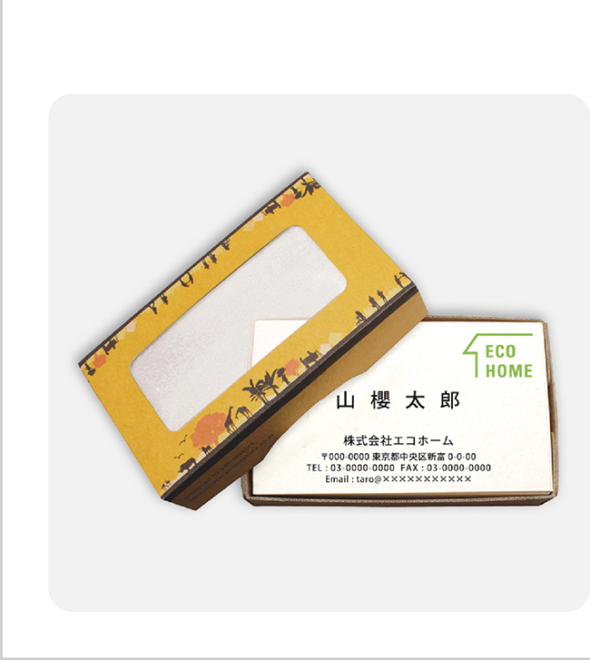 名刺写真と枠線